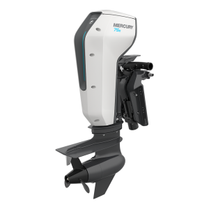 Подвесной лодочный мотор  Avator 10 75E SRCPT Kit Электрический