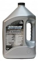 Масло моторное 2 тактное Premium Plus TC-W3 (4 л. канистра)