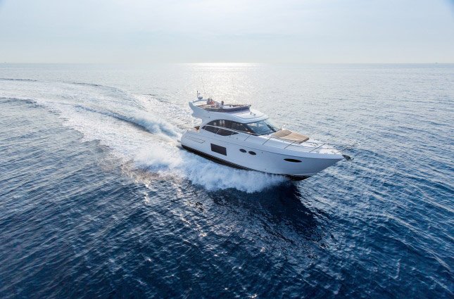 Princess 49